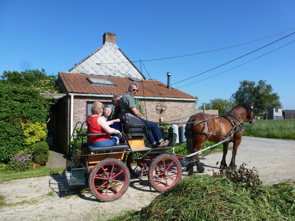 Guesthouse Kolibriehuys Nieuwkerke Eksteriør billede