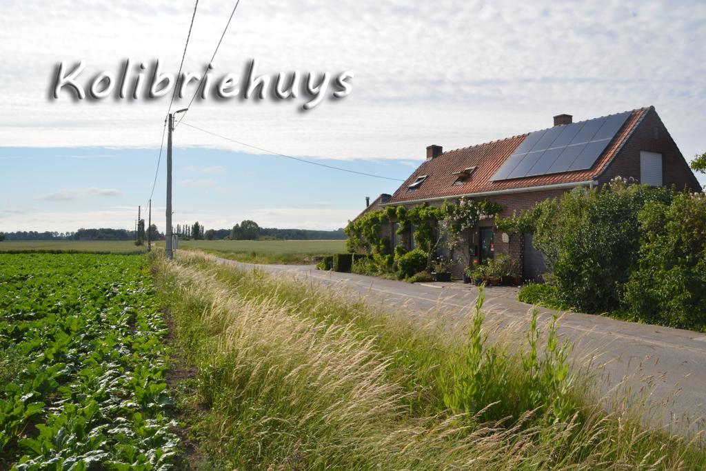 Guesthouse Kolibriehuys Nieuwkerke Eksteriør billede